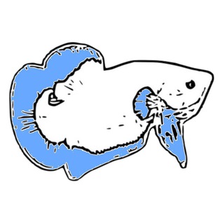 Логотип @bluerimbetta - Betta Fish