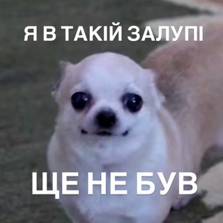 Логотип @blueymemes - Test