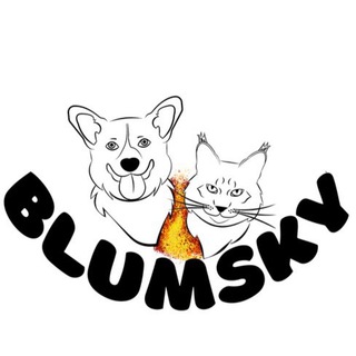 Логотип @blumsky - BLUMSKY|корги&мейн-кун