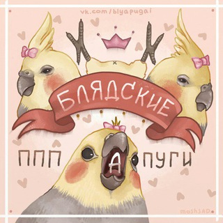Логотип @blyapugai - блядские папуги