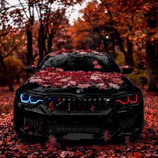 Логотип @bmw_group_official - BMW_group official🖤