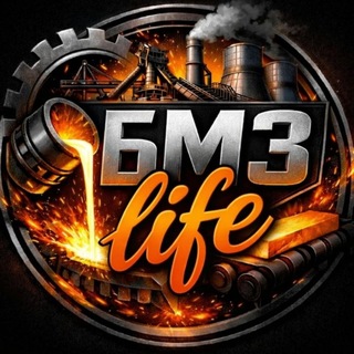 Логотип @bmz_life - БМЗ | LIFE