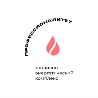 Логотип @bnk_professionalitet - Бугурусланский нефтяной колледж