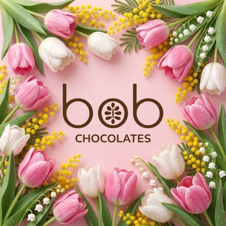 Логотип @bob_rawchocolates - bob — полезный шоколад
