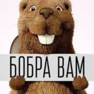 Логотип @boberstavit - БобрОвая Ставка