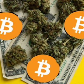 Логотип @bobikcryptowhale - BoBiK's крипта & лайфстиль