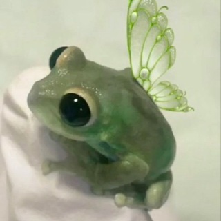 Логотип @bobohemia - Дед инсайдерские записки