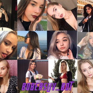 Логотип @bobranora - Бобер Team
