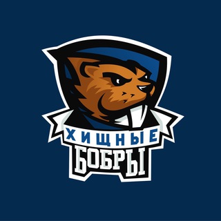 Логотип @bobry_vsu - ССК ВГУ «Хищные Бобры»