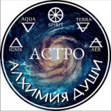 Логотип @bodydialogue - @bodydialogue