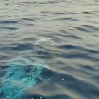 Логотип @bofbest - BOB(BestОfBest)