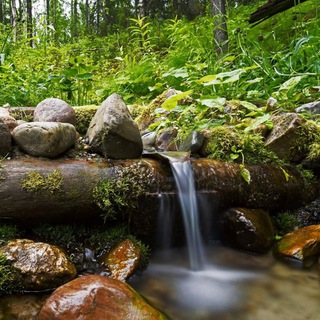 Логотип @bogatiryanez - Подсознание может всё