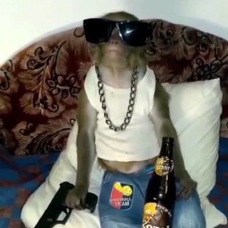 Логотип @bogdan_v5 - Блог чоттипо