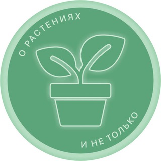 Логотип @bogdashka_plants - BogdaSHka 🍀о растениях и не только🍀