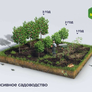 Логотип @bogdorchilik_nixolari - Богдорчилик Нихолари 🌱 🌱