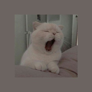 Логотип @boglolxy - Крч, фоны 🥱