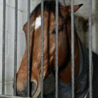 Логотип @bogogobo - Post Cards from Bogogobo