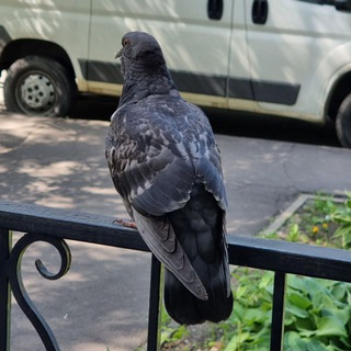 Логотип @bohovtg - Бохочтельня