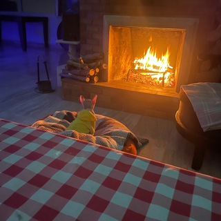 Логотип @boikomakler - Boiko 🔎аренда-продажа Хайфа/Крайот 🏠