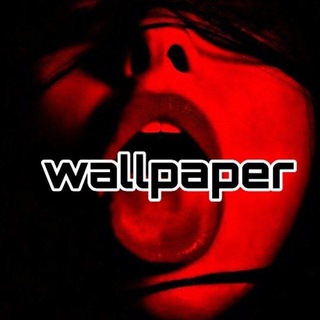 Логотип @boiteq - Обсуждение лапочек