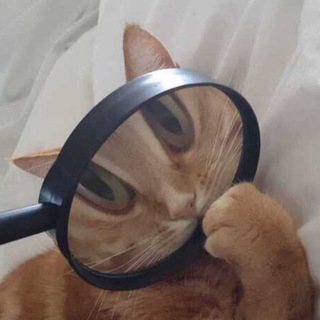 Логотип @bolbeschannel - ППК 👾