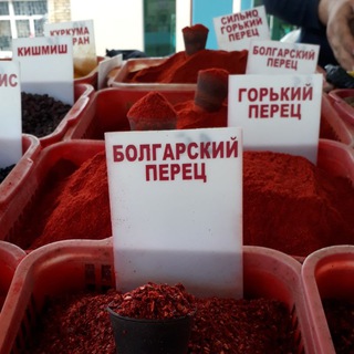 Логотип @bolgarskiy_perec - Болгарский перец