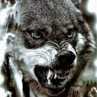 Логотип @bolladirettore - ⚽️La Bolletta del Direttore⚽️