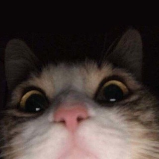 Логотип @bolnobyt - #больнобыть