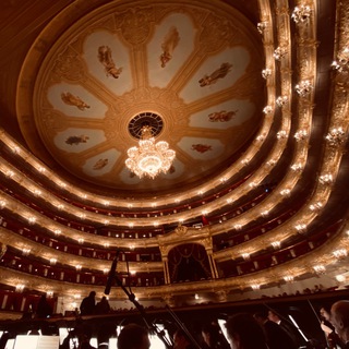 Логотип @bolshoitheatre_unofficial - Театральная, 1 (Большой театр unofficial)