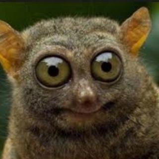 Логотип @boltyn_anekdot - Болтун - канал анекдотов.