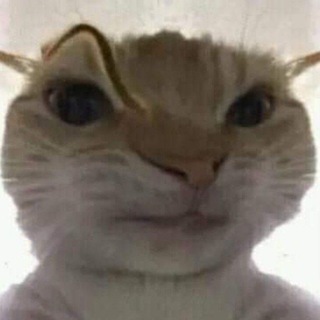 Логотип @boltyshki001 - Болтушка 🙂