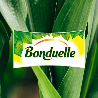 Логотип @bonduellerus - Bonduelle