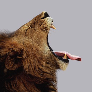 Логотип @bonelesstongue - Язык без костей