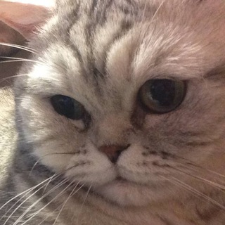 Логотип @bonelordhere - Bonelord