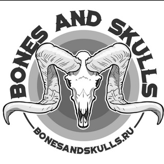 Логотип @bones_and_skulls - Bones and skulls. Таксидермия, черепа животных