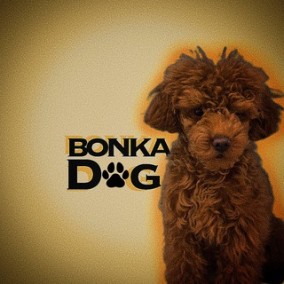 Логотип @bonkadog - bonka.dog