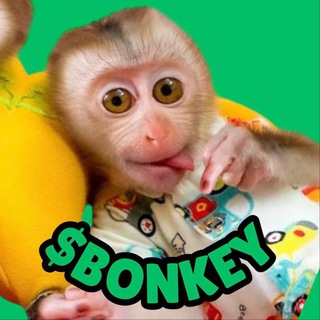 Логотип @bonkeyonsol - Baby Monkey Portal