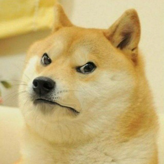 Логотип @bonkpatrol - Bonk Patrol (uncensored)