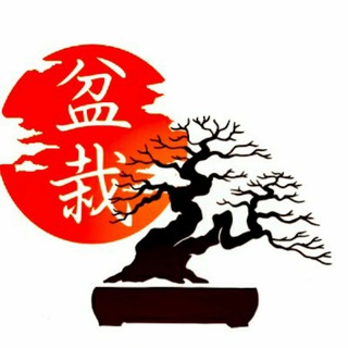 Логотип @bonsai_uz - Bonsai Uz