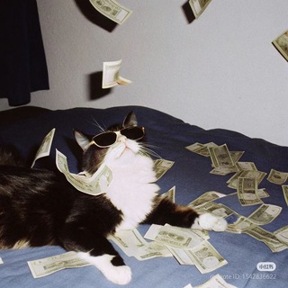 Логотип @bonusappscia - 𝙂𝙐𝘼𝘿𝘼𝙂𝙉𝙄 𝙊𝙉𝙇𝙄𝙉𝙀 💸 🩻