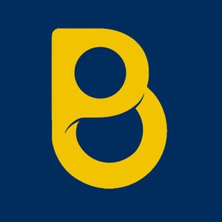 Логотип @bonusepagamenti - Bonusepagamenti.it - ADI, Bonus, tasse e fisco