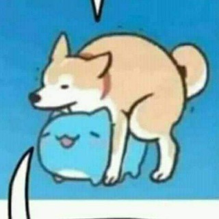 Логотип @bonustvmx - Bobos hptas