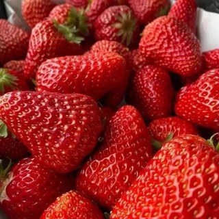 Логотип @bony899 - Клубника_русс🍓