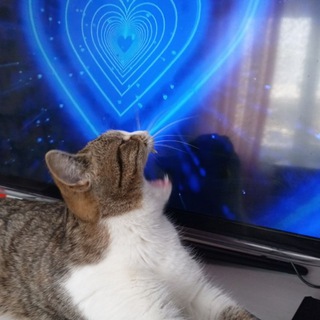 Логотип @bonya1805 - тура муха 🙊💋