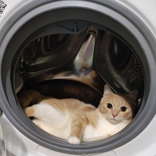 Логотип @booblikfoodcom - 💎хоббифудобзоринг💳💅🏻