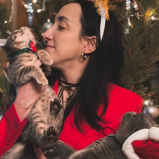 Логотип @book_cat_coffee_tg - book_cat_coffee