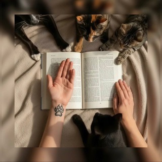 Логотип @book_libertas - Лапки на страницах 🐾