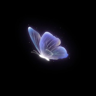 Логотип @bookcaseli2 - книжный шкаф 2.0