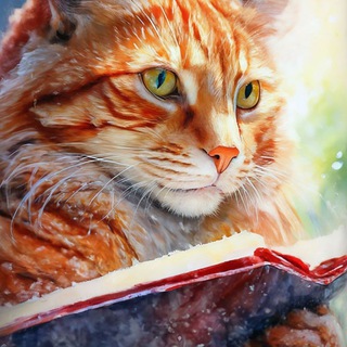 Логотип @bookcat - Книжный кот🐱