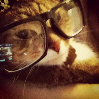 Логотип @bookhomeeee - книжный дом